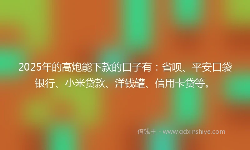 2025年的高炮能下款的口子有：省呗、平安口袋银行、小米贷款、洋钱罐、信用卡贷等。