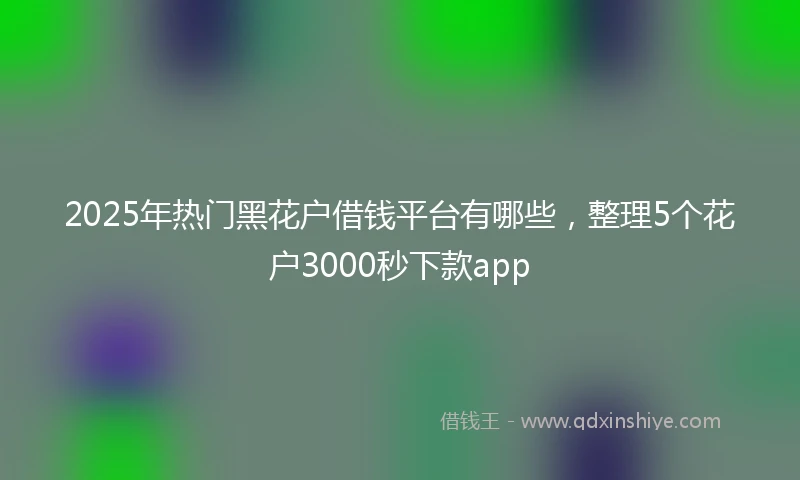 2025年热门黑花户借钱平台有哪些，整理5个花户3000秒下款app