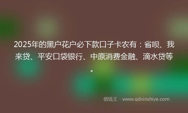 2025年的黑户花户必下款口子卡农有：省呗、我来贷、平安口袋银行、中原消费金融、滴水贷等。