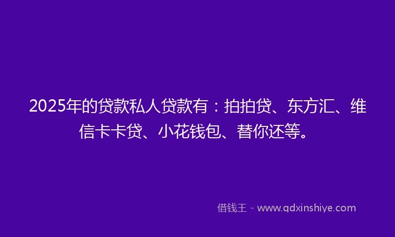2025年的贷款私人贷款有：拍拍贷、东方汇、维信卡卡贷、小花钱包、替你还等。