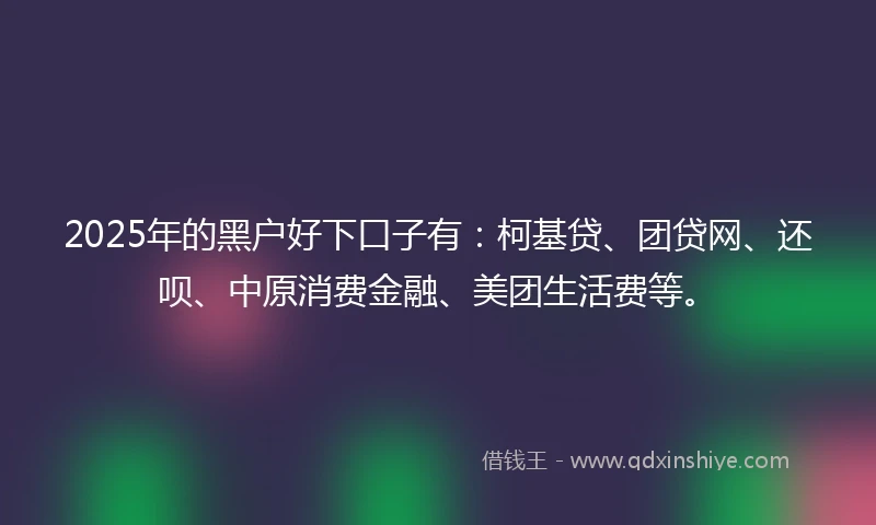 2025年的黑户好下口子有：柯基贷、团贷网、还呗、中原消费金融、美团生活费等。