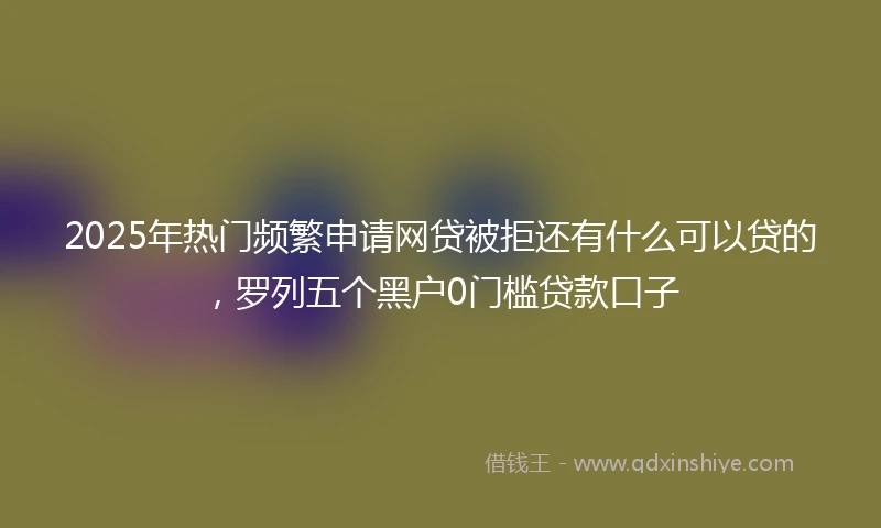 2025年热门频繁申请网贷被拒还有什么可以贷的，罗列五个黑户0门槛贷款口子
