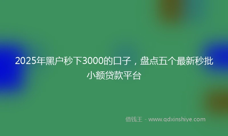2025年黑户秒下3000的口子，盘点五个最新秒批小额贷款平台