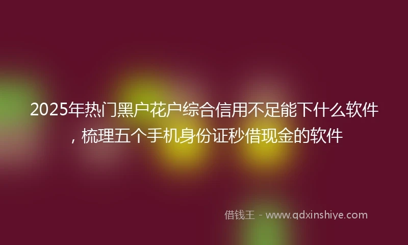 2025年热门黑户花户综合信用不足能下什么软件，梳理五个手机身份证秒借现金的软件