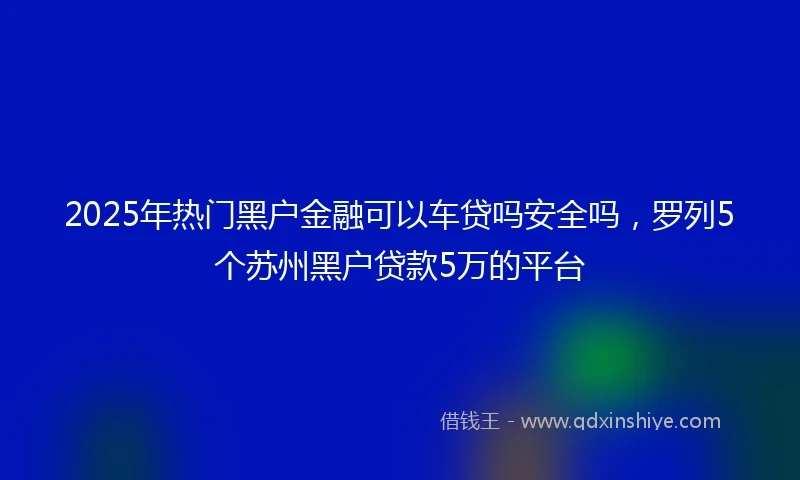 2025年热门黑户金融可以车贷吗安全吗，罗列5个苏州黑户贷款5万的平台
