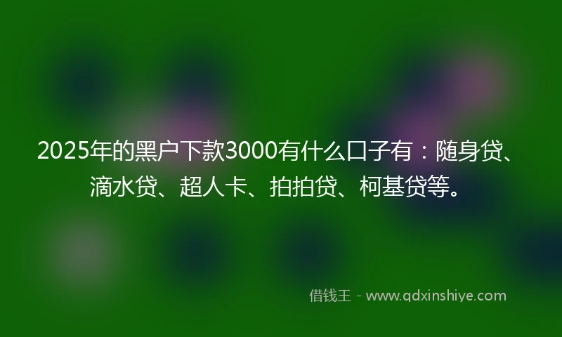 2025年的黑户下款3000有什么口子有：随身贷、滴水贷、超人卡、拍拍贷、柯基贷等。