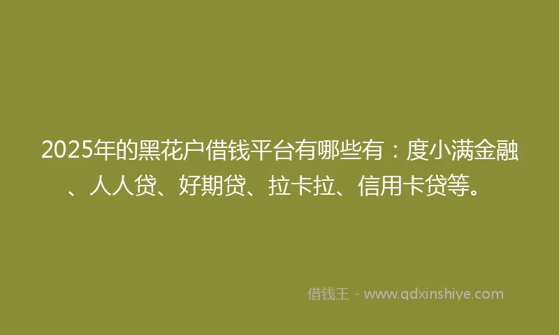 2025年的黑花户借钱平台有哪些有：度小满金融、人人贷、好期贷、拉卡拉、信用卡贷等。