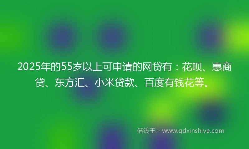 2025年的55岁以上可申请的网贷有：花呗、惠商贷、东方汇、小米贷款、百度有钱花等。