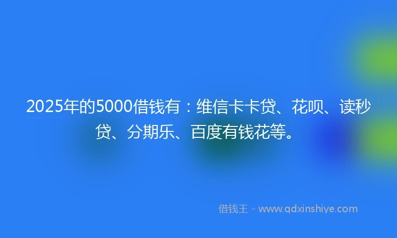 2025年的5000借钱有：维信卡卡贷、花呗、读秒贷、分期乐、百度有钱花等。