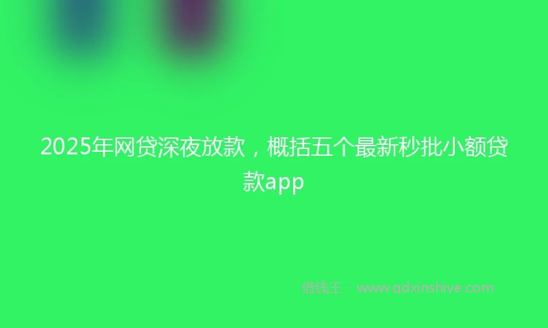 2025年网贷深夜放款，概括五个最新秒批小额贷款app