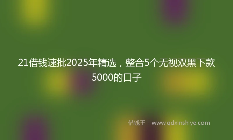 21借钱速批2025年精选，整合5个无视双黑下款5000的口子