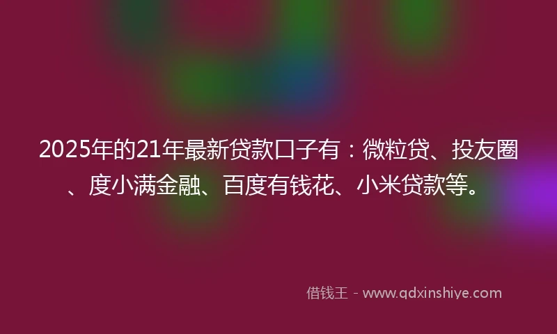 2025年的21年最新贷款口子有：微粒贷、投友圈、度小满金融、百度有钱花、小米贷款等。