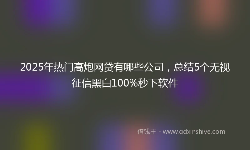 2025年热门高炮网贷有哪些公司，总结5个无视征信黑白100%秒下软件