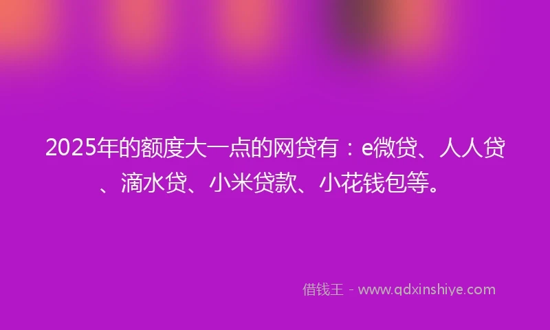 2025年的额度大一点的网贷有：e微贷、人人贷、滴水贷、小米贷款、小花钱包等。