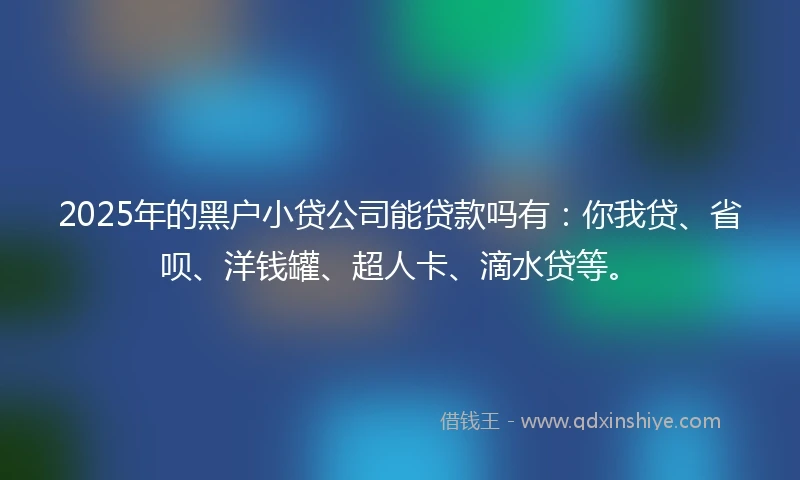 2025年的黑户小贷公司能贷款吗有：你我贷、省呗、洋钱罐、超人卡、滴水贷等。