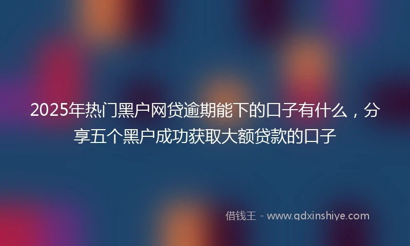 2025年热门黑户网贷逾期能下的口子有什么，分享五个黑户成功获取大额贷款的口子