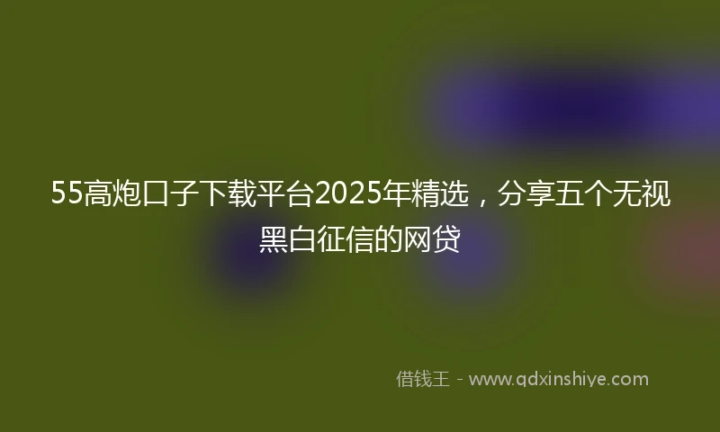 55高炮口子下载平台2025年精选，分享五个无视黑白征信的网贷