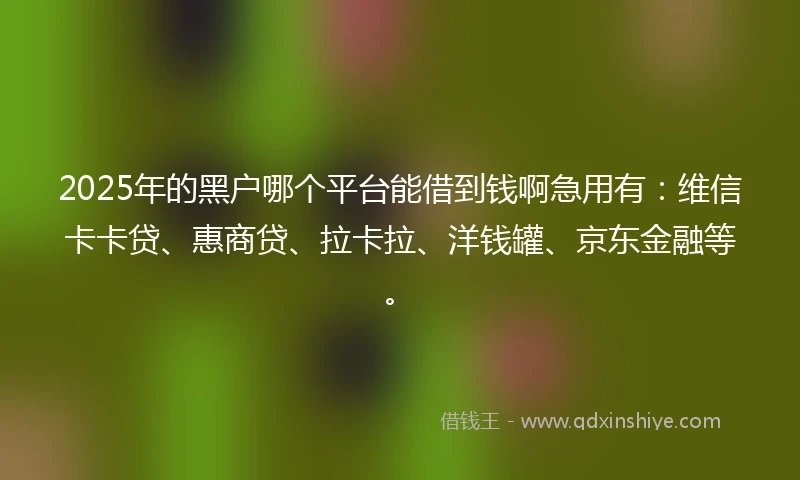 2025年的黑户哪个平台能借到钱啊急用有：维信卡卡贷、惠商贷、拉卡拉、洋钱罐、京东金融等。