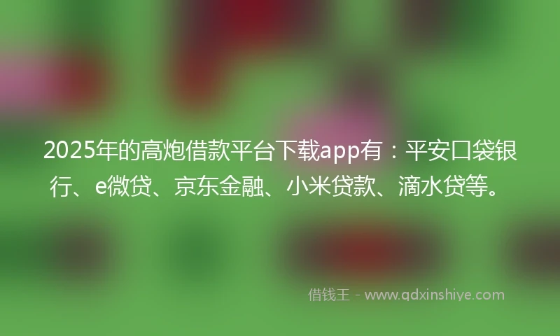 2025年的高炮借款平台下载app有：平安口袋银行、e微贷、京东金融、小米贷款、滴水贷等。