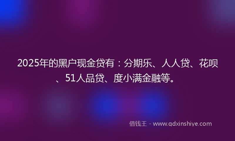 2025年的黑户现金贷有：分期乐、人人贷、花呗、51人品贷、度小满金融等。