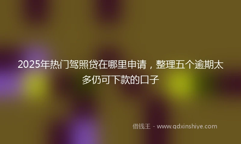 2025年热门驾照贷在哪里申请，整理五个逾期太多仍可下款的口子