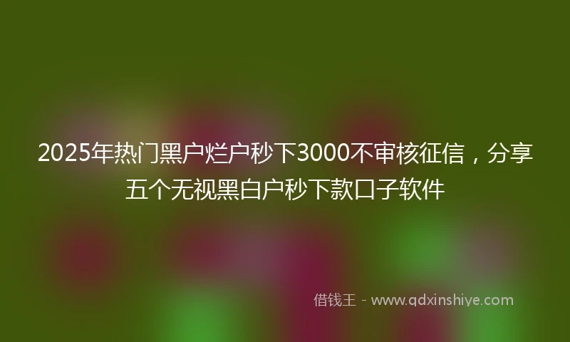 2025年热门黑户烂户秒下3000不审核征信，分享五个无视黑白户秒下款口子软件