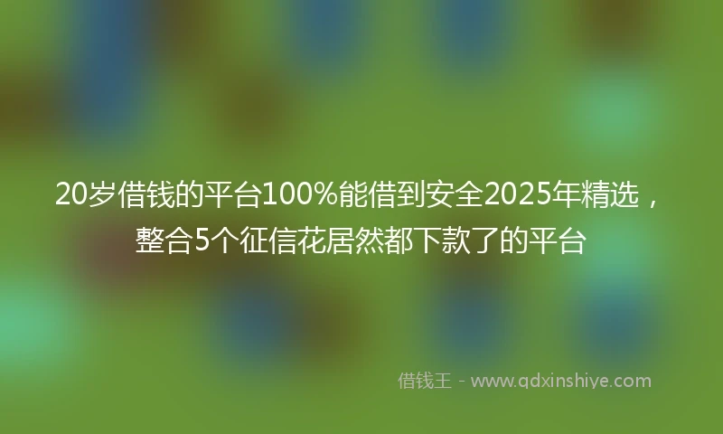 20岁借钱的平台100%能借到安全2025年精选，整合5个征信花居然都下款了的平台
