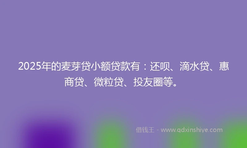 2025年的麦芽贷小额贷款有：还呗、滴水贷、惠商贷、微粒贷、投友圈等。