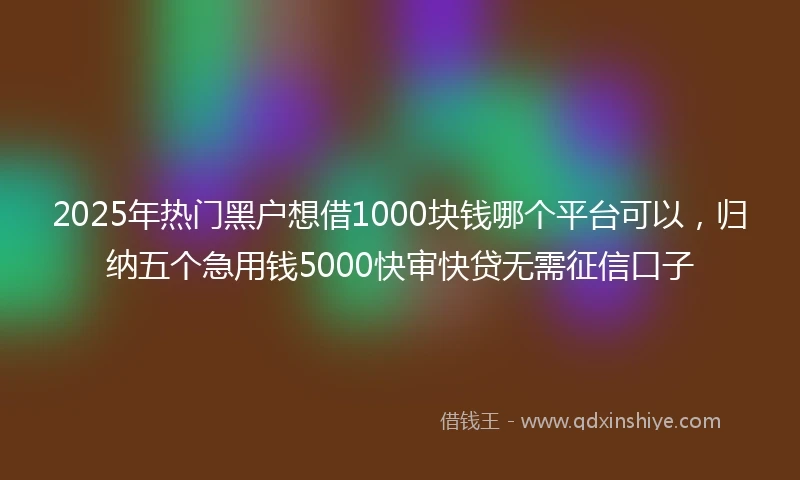 2025年热门黑户想借1000块钱哪个平台可以，归纳五个急用钱5000快审快贷无需征信口子
