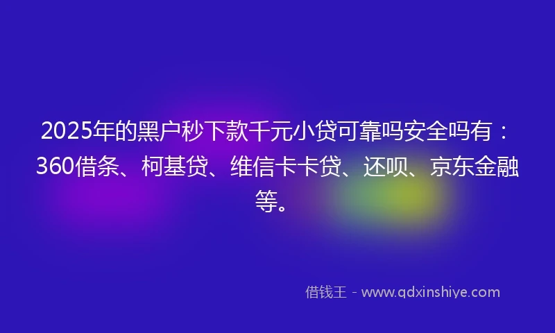 2025年的黑户秒下款千元小贷可靠吗安全吗有：360借条、柯基贷、维信卡卡贷、还呗、京东金融等。
