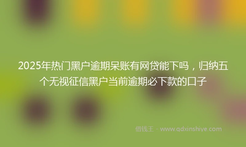 2025年热门黑户逾期呆账有网贷能下吗，归纳五个无视征信黑户当前逾期必下款的口子