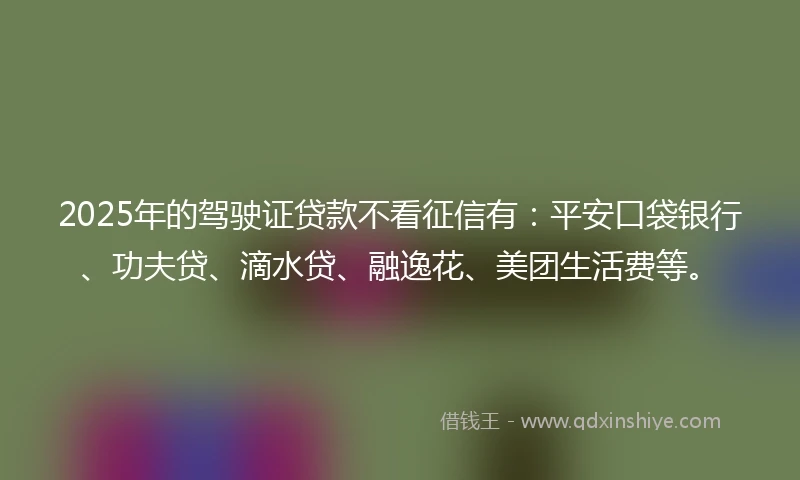 2025年的驾驶证贷款不看征信有：平安口袋银行、功夫贷、滴水贷、融逸花、美团生活费等。