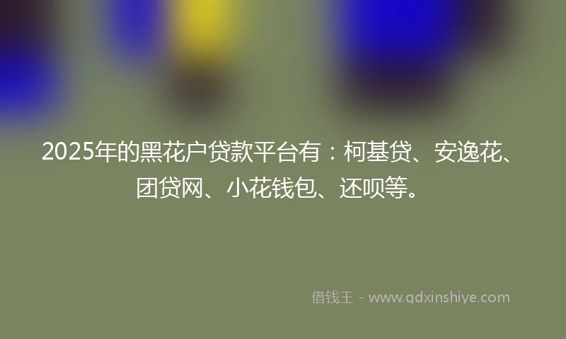 2025年的黑花户贷款平台有：柯基贷、安逸花、团贷网、小花钱包、还呗等。