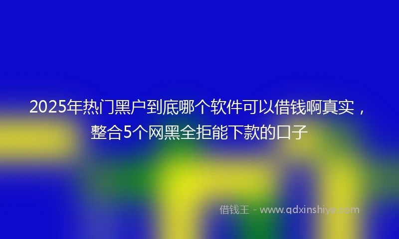 2025年热门黑户到底哪个软件可以借钱啊真实，整合5个网黑全拒能下款的口子