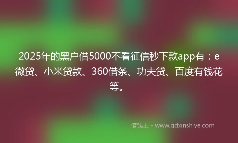 2025年的黑户借5000不看征信秒下款app有：e微贷、小米贷款、360借条、功夫贷、百度有钱花等。