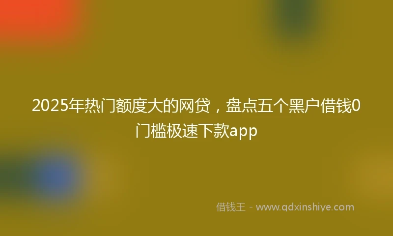2025年热门额度大的网贷，盘点五个黑户借钱0门槛极速下款app