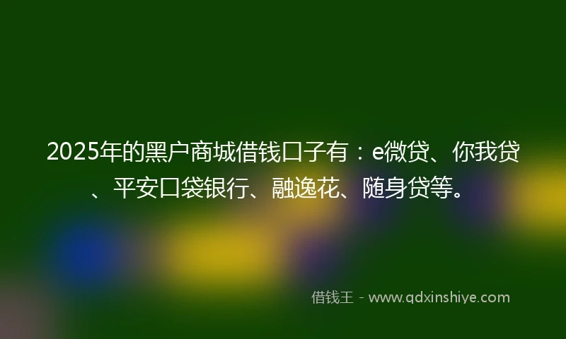 2025年的黑户商城借钱口子有：e微贷、你我贷、平安口袋银行、融逸花、随身贷等。