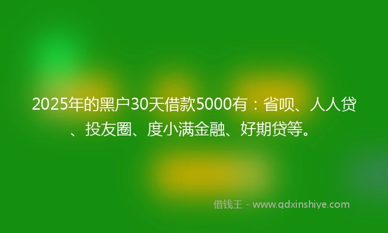 2025年的黑户30天借款5000有：省呗、人人贷、投友圈、度小满金融、好期贷等。