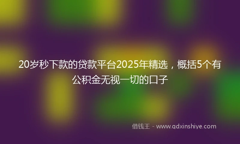 20岁秒下款的贷款平台2025年精选，概括5个有公积金无视一切的口子