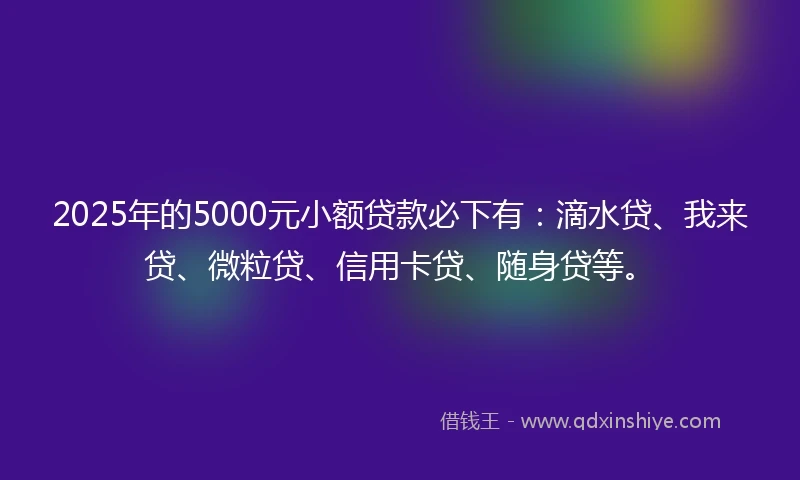 2025年的5000元小额贷款必下有：滴水贷、我来贷、微粒贷、信用卡贷、随身贷等。