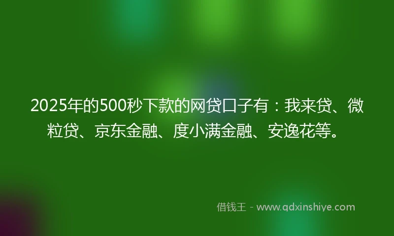 2025年的500秒下款的网贷口子有：我来贷、微粒贷、京东金融、度小满金融、安逸花等。