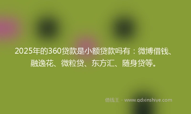 2025年的360贷款是小额贷款吗有：微博借钱、融逸花、微粒贷、东方汇、随身贷等。