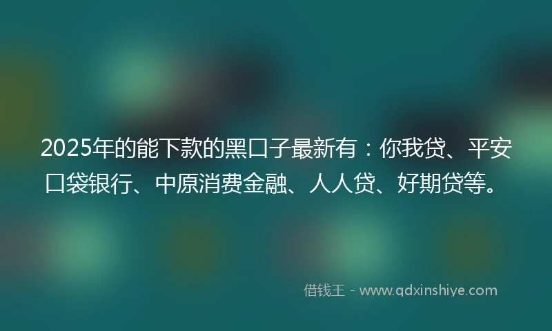 2025年的能下款的黑口子最新有：你我贷、平安口袋银行、中原消费金融、人人贷、好期贷等。