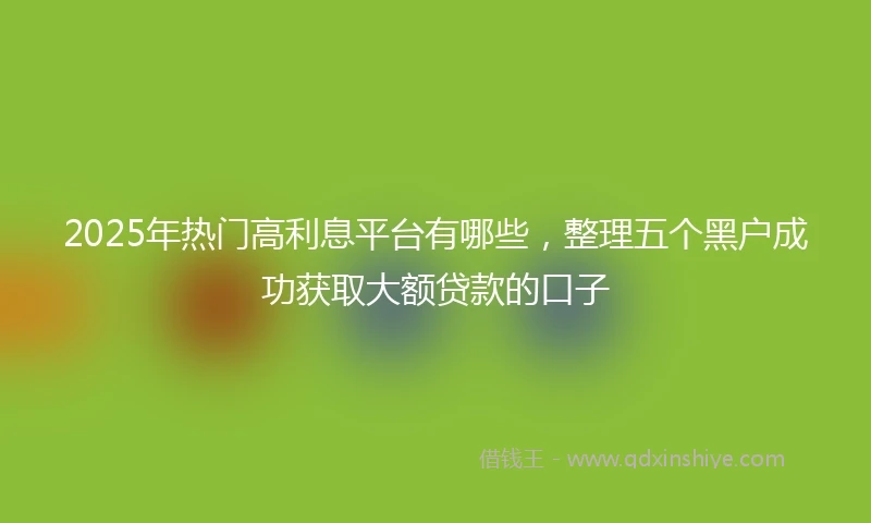 2025年热门高利息平台有哪些,整理五个黑户成功获取大额贷款的口子
