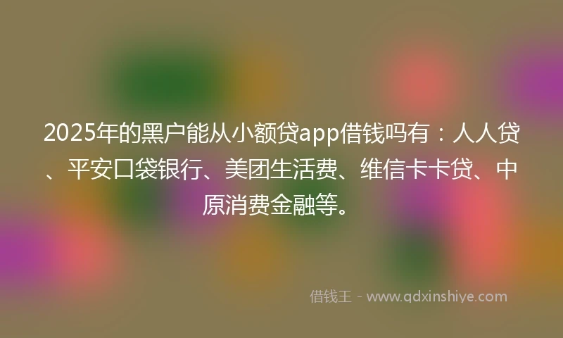 2025年的黑户能从小额贷app借钱吗有：人人贷、平安口袋银行、美团生活费、维信卡卡贷、中原消费金融等。