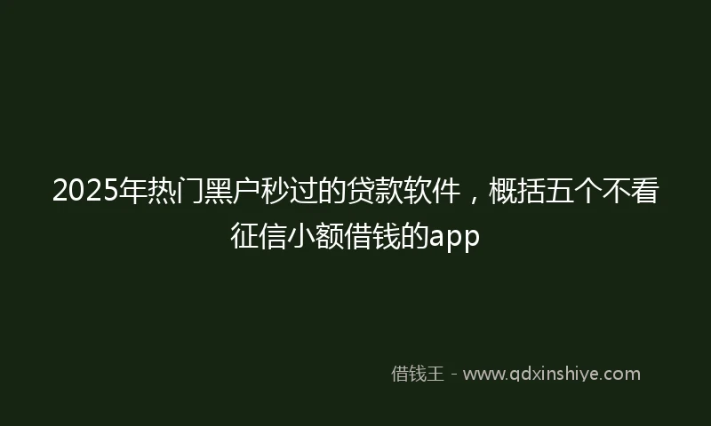 2025年热门黑户秒过的贷款软件，概括五个不看征信小额借钱的app