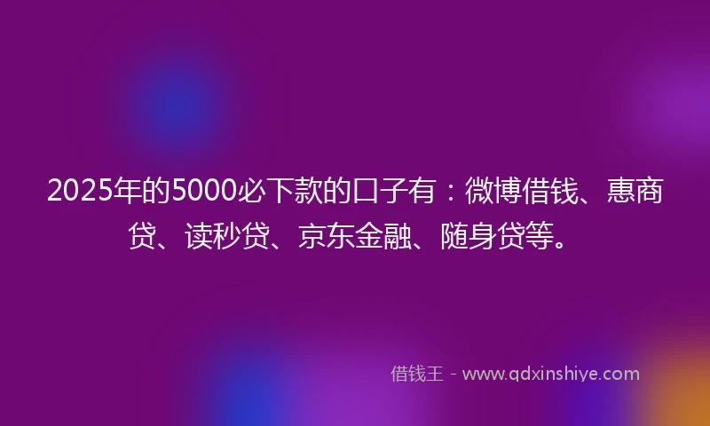 2025年的5000必下款的口子有：微博借钱、惠商贷、读秒贷、京东金融、随身贷等。