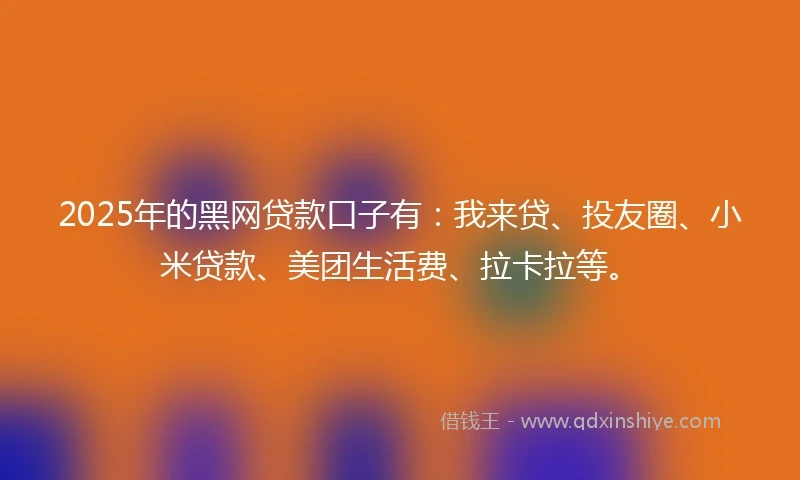 2025年的黑网贷款口子有：我来贷、投友圈、小米贷款、美团生活费、拉卡拉等。