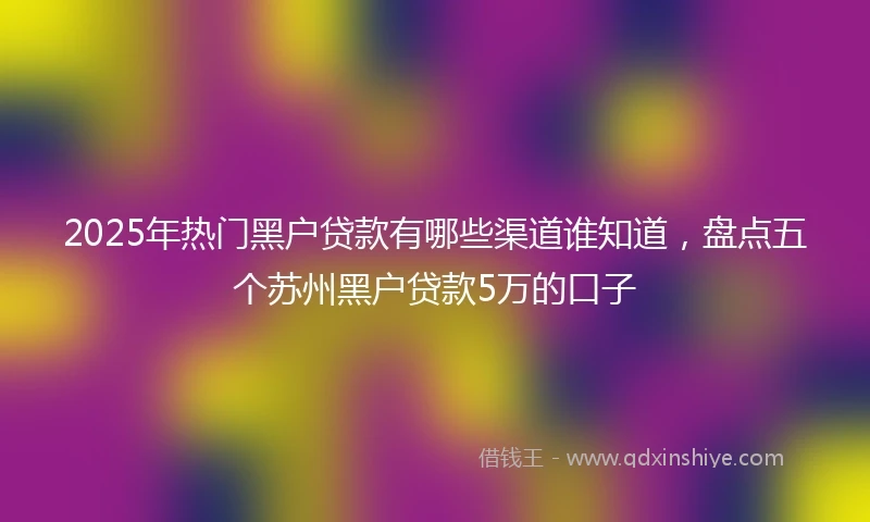 2025年热门黑户贷款有哪些渠道谁知道，盘点五个苏州黑户贷款5万的口子