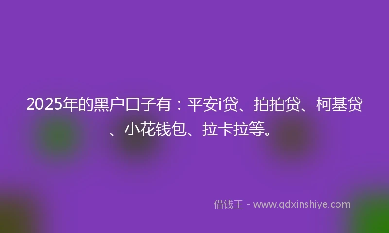2025年的黑户口子有：平安i贷、拍拍贷、柯基贷、小花钱包、拉卡拉等。